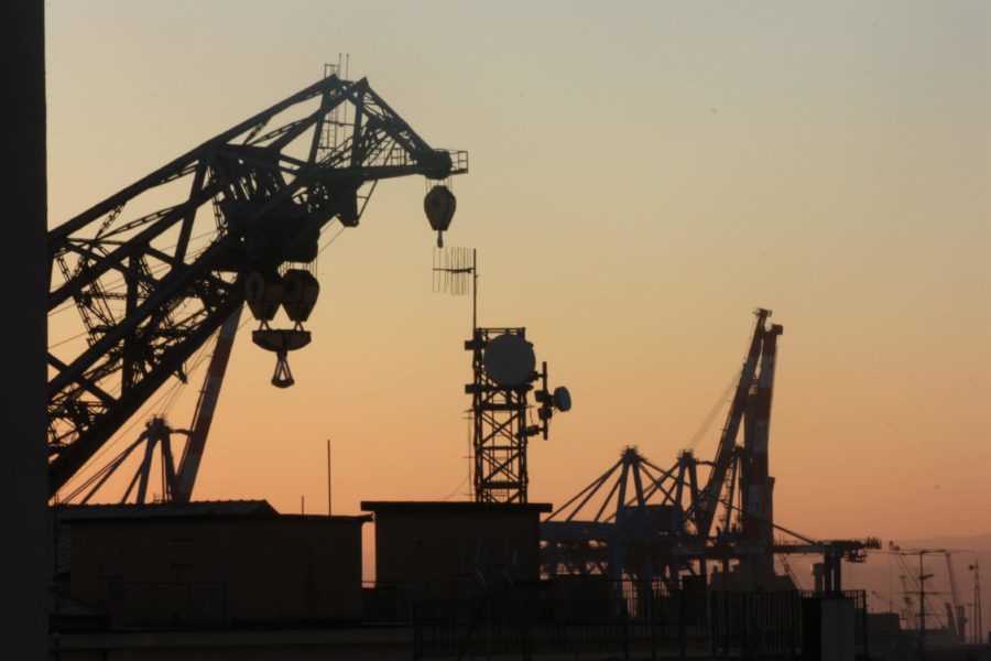 Silhouette of cranes