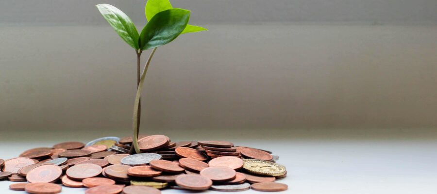 Green shoots sprouting out of coins