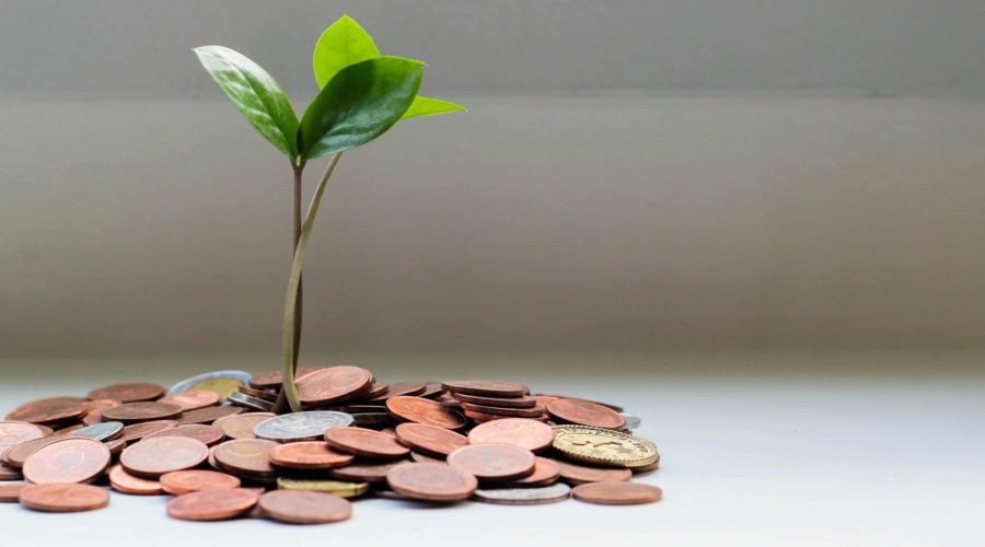 Green shoots sprouting out of coins