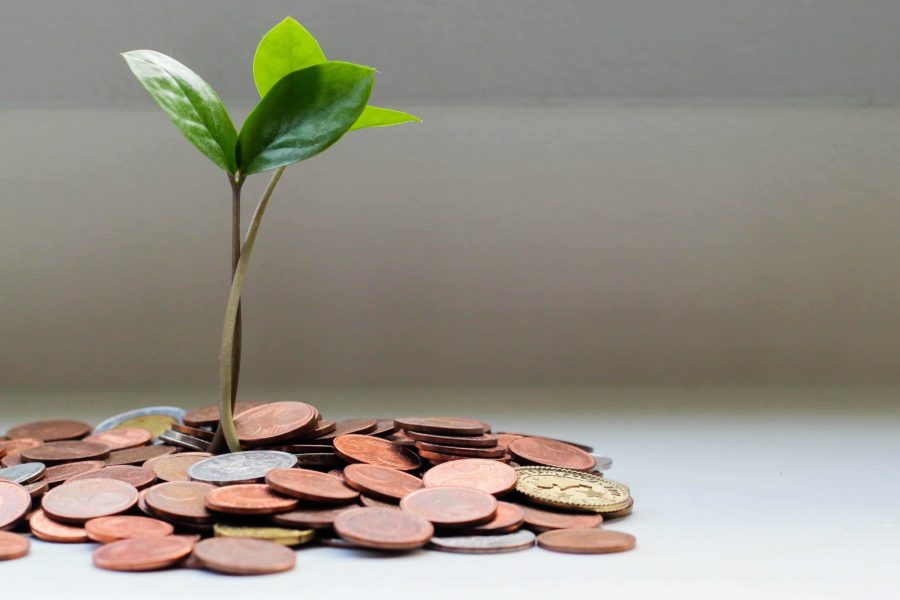 Green shoots sprouting out of coins