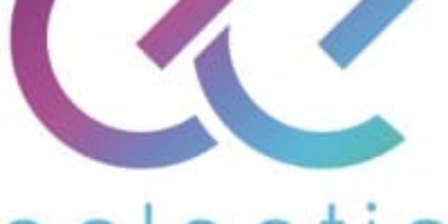 Eclectic Events Logo