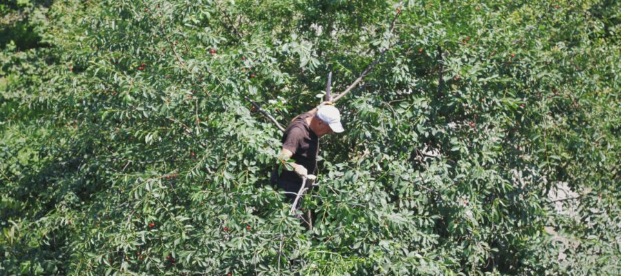 accounting for your landscape gardening business